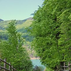 photo "Maneciu Lake, Romania"