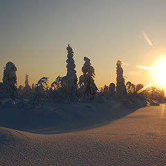 photo "Cold winter morning"