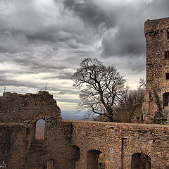 photo "Dark side of Baden-Baden"