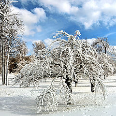 photo "Winter"