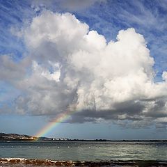 photo "Pinned by a rainbow"