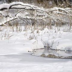 photo "A little mirror"