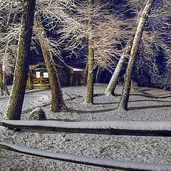 photo "Snow at night"