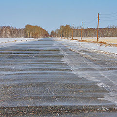 фото "Поземка...(wind carries trickles of the snow across road)"