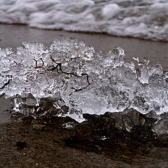 фото "Iceberg On The Beach"