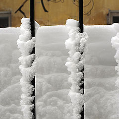 photo "Snow captivity"