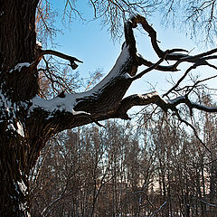 photo "Hands of the giant"