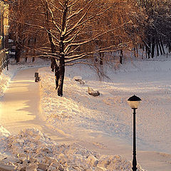 фото "зимний вечер в Юсуповском саду"