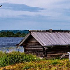 фото "Наперегонки"