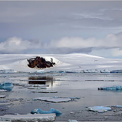 photo "Antarctica"