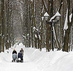 фото "Зимний парк"