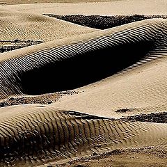 photo "sand dunes"