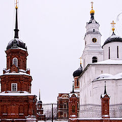 фото "Красное и белое"