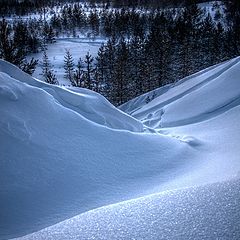 photo "Winter Dusk"