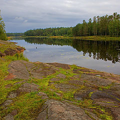 фото "Ламба"