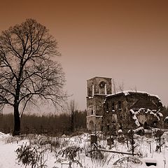 photo "пейзаж,черно-белое,природа.зима"