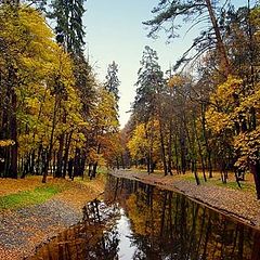 photo "осень,пейзаж,природа,деревья,парк"