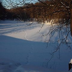 фото "Синие тени."