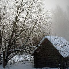 фото "Утро туманное..."