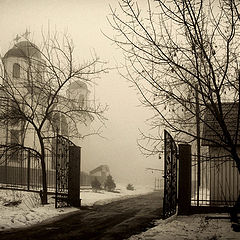 фото "Грусть туманная"