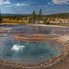 фото "Живая или Мертвая вода?"