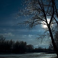 фото "Night and ice"