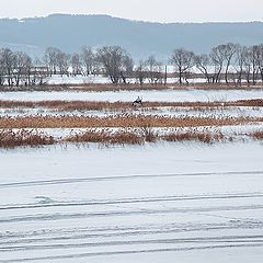 photo "The first day of spring on Volga"