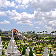 фото "Noong Nooch Tropical Garden"