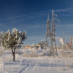 фото "Среда обитания"