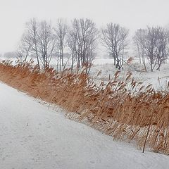 фото "попутная песня"