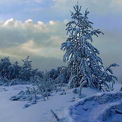 фото "К перемене климата"