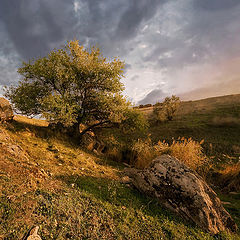 фото "Степной овражек"