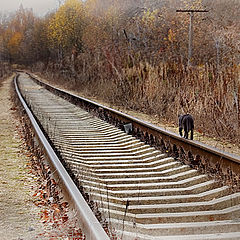 фото "Отшельник."