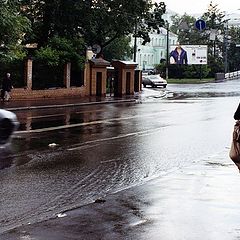 фото "После ливня"