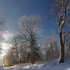 photo "Pargolovsky Shuvalovsky Park. The vehicle-road"