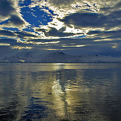 photo "Antarctica"