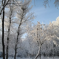 фото "В парке..."