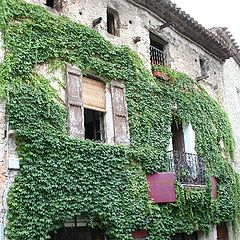 photo "old street in France"