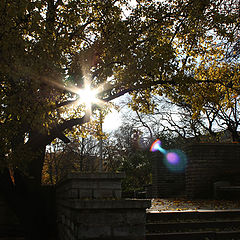 photo "Autumn in Tallinn"