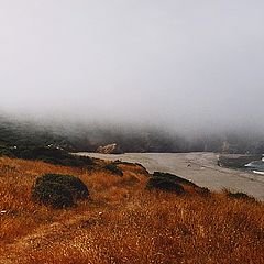 photo "Foggy Coast"