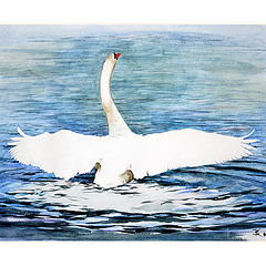 photo "My swan watercolor"