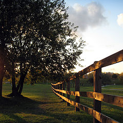 фото "осень,природа,луг,забор"