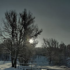 фото "За околицей"