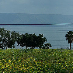 фото "Kfar Nachum"