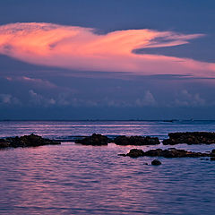 photo "Bali. Dawn. Low-tide."