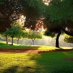 фото "Balboa Park, San Diego, CA"