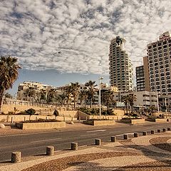 фото "Tel-Aviv 2578"