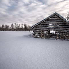 photo "Winter"