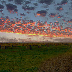 фото "The Field of the battle..."