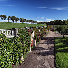 photo "Peterhof"